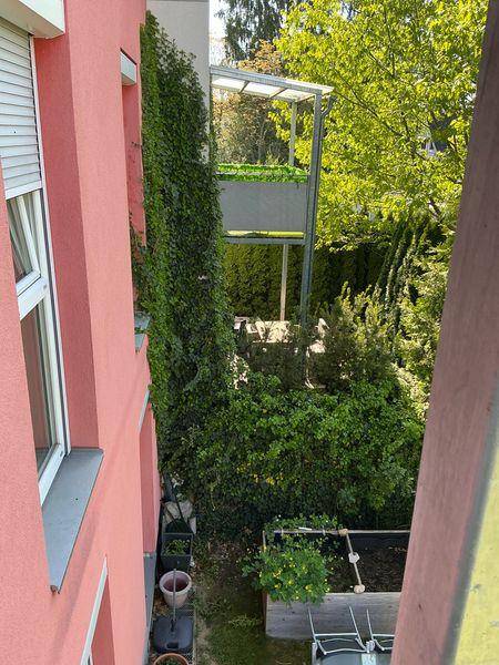 Blick von oben auf einen grünen Gartenbereich mit üppiger Vegetation und einer Metallkonstruktion.