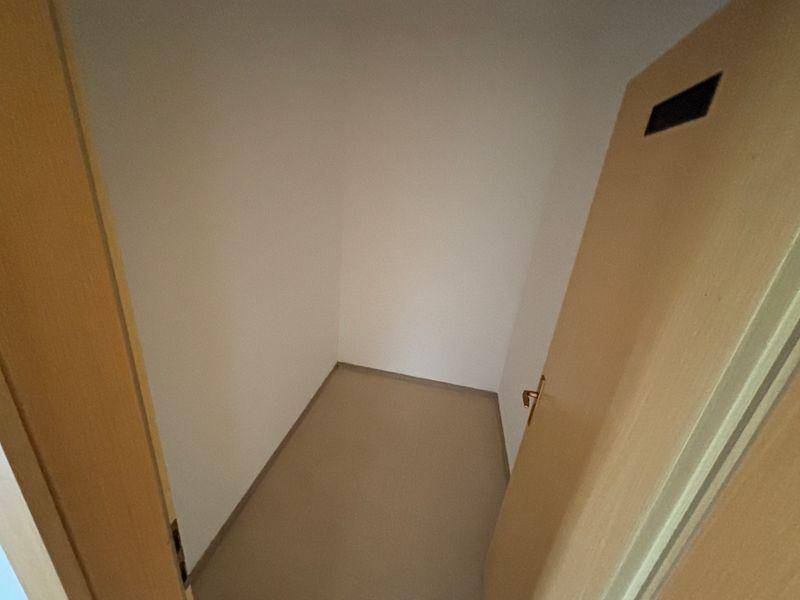 tosons peste 140201 IMG 3540.jpeg