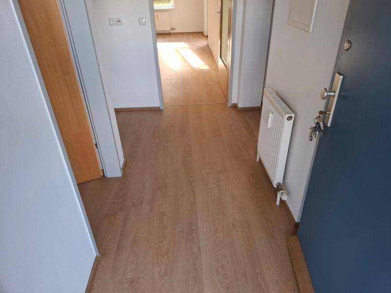 Heller Eingangsbereich mit Laminatboden, weißem Heizkörper und Zugang zu weiteren Räumen.