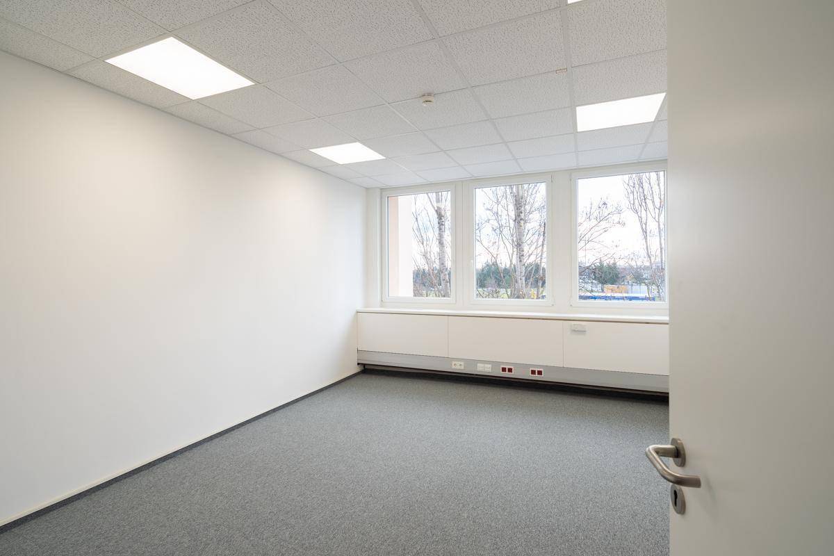 Leeres Büro mit grauem Teppichboden, großen Fenstern und abgehängter Decke mit integrierter Beleuchtung.