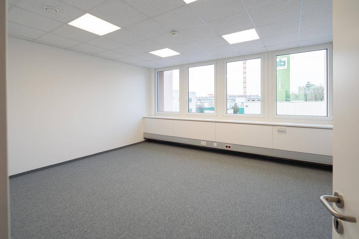 Geräumiges, helles Büro mit grauem Teppichboden, großen Fenstern und weiß gestrichenen Wänden.