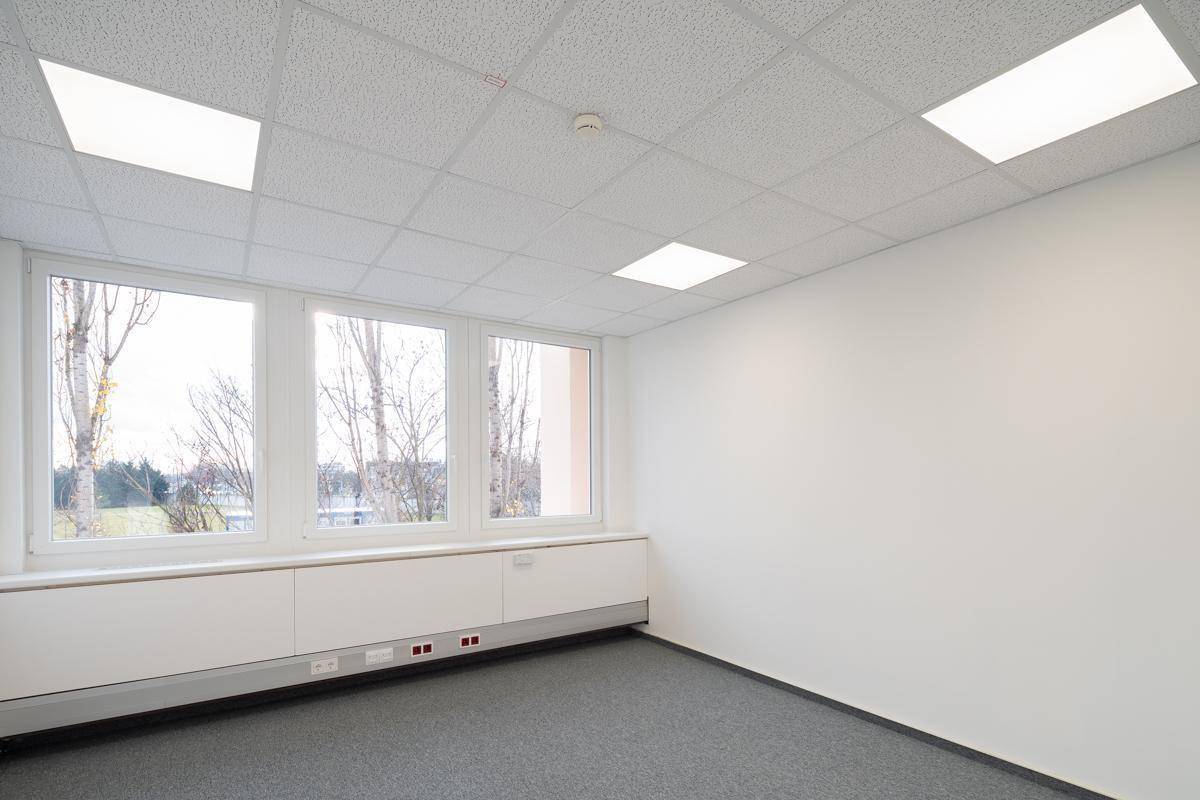 Helles, leeres Büro mit Teppichboden, großen Fenstern und abgehängter Decke mit integrierten Leuchten.