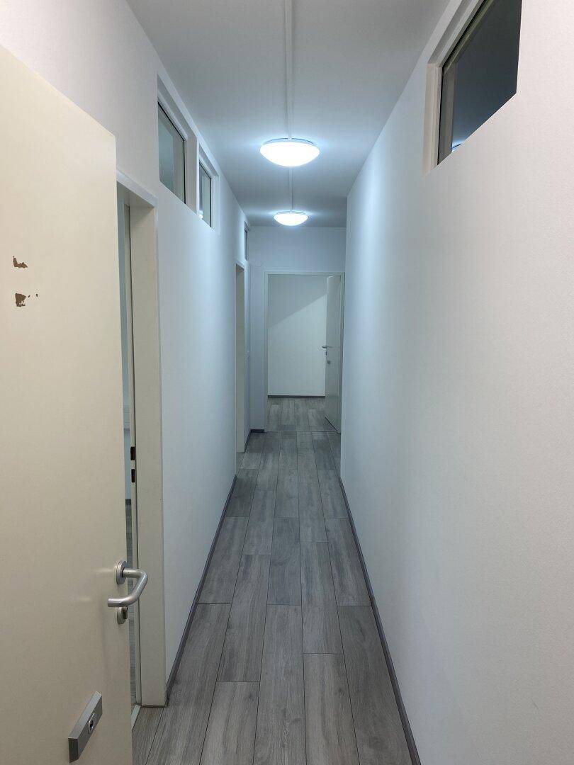 Heller Flur mit Laminatboden und Oberlichtern, der zu weiteren Räumen führt.