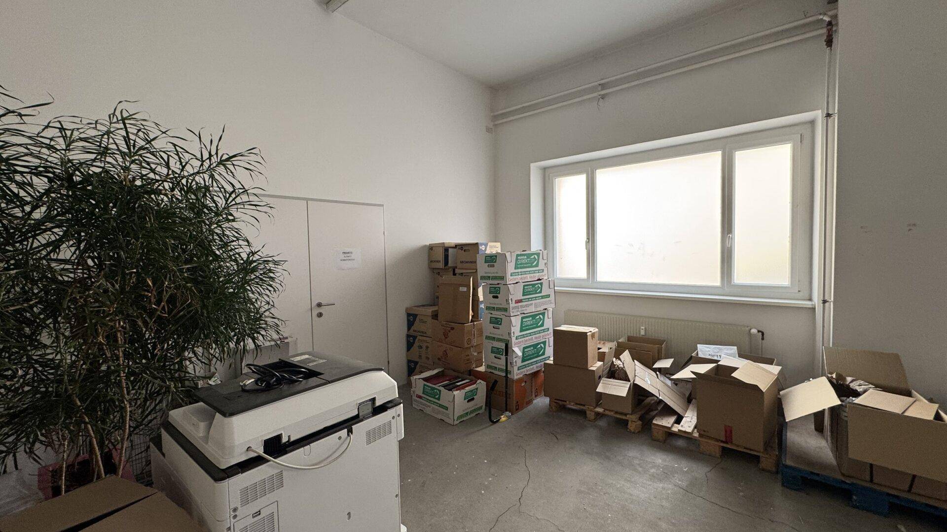 Lagerraum mit großem Fenster, vielen Kartons und einer großen Pflanze, funktional und hell.