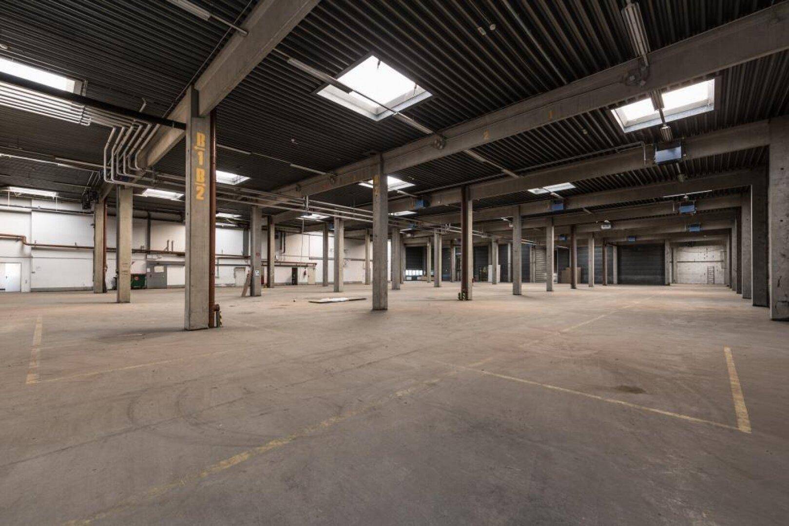 Weitläufige Lagerhalle mit hohen Decken, vielen Stützpfeilern und Oberlichtern für natürliches Licht.