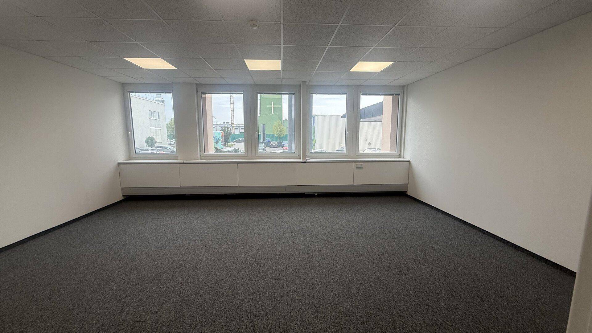 Leerer Büroraum mit Teppichboden, weißen Wänden und einer Reihe von Fenstern für viel Tageslicht.