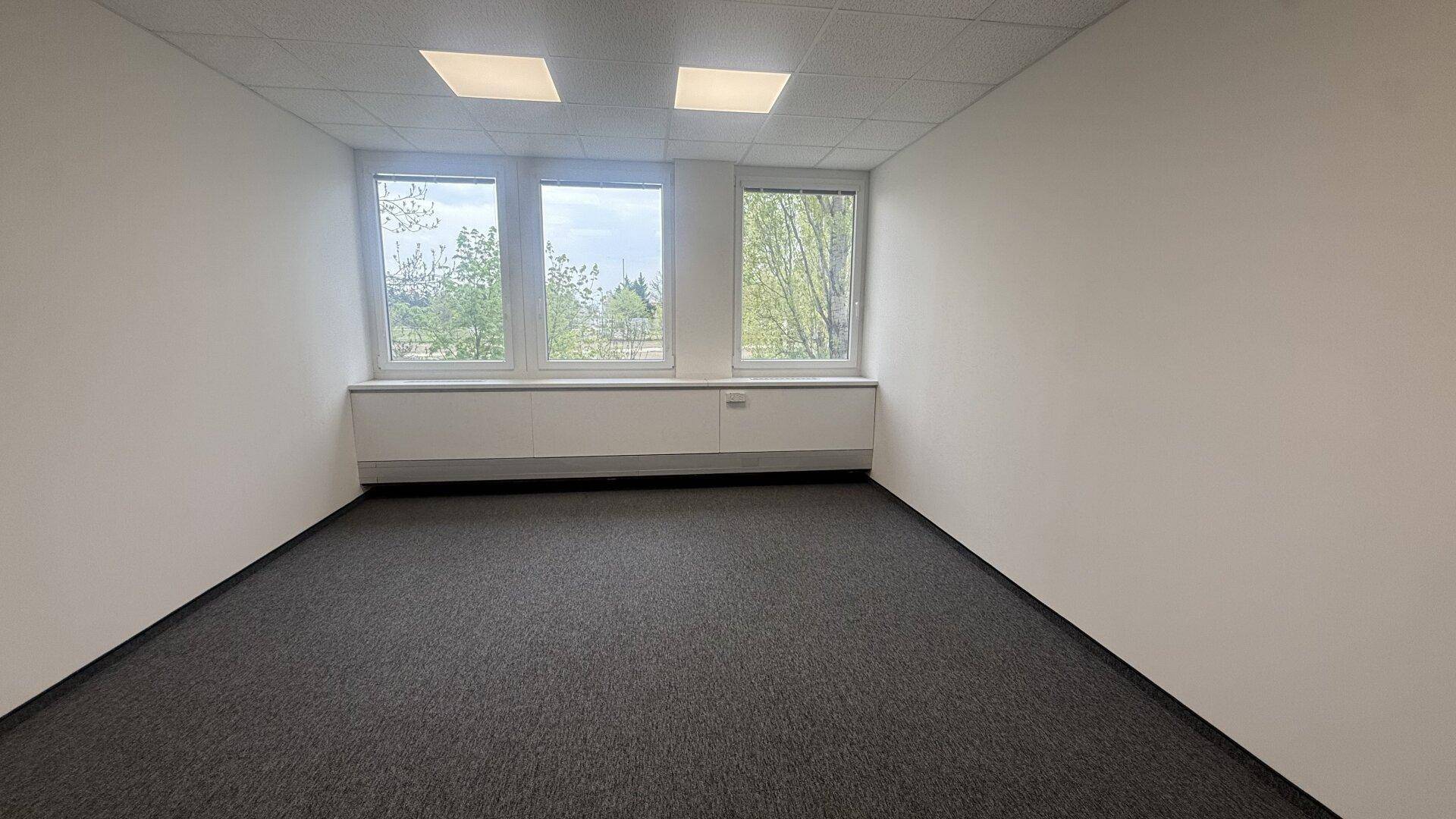 Heller, leerer Büroraum mit Teppichboden und zwei großen Fenstern, die viel Licht hereinlassen.