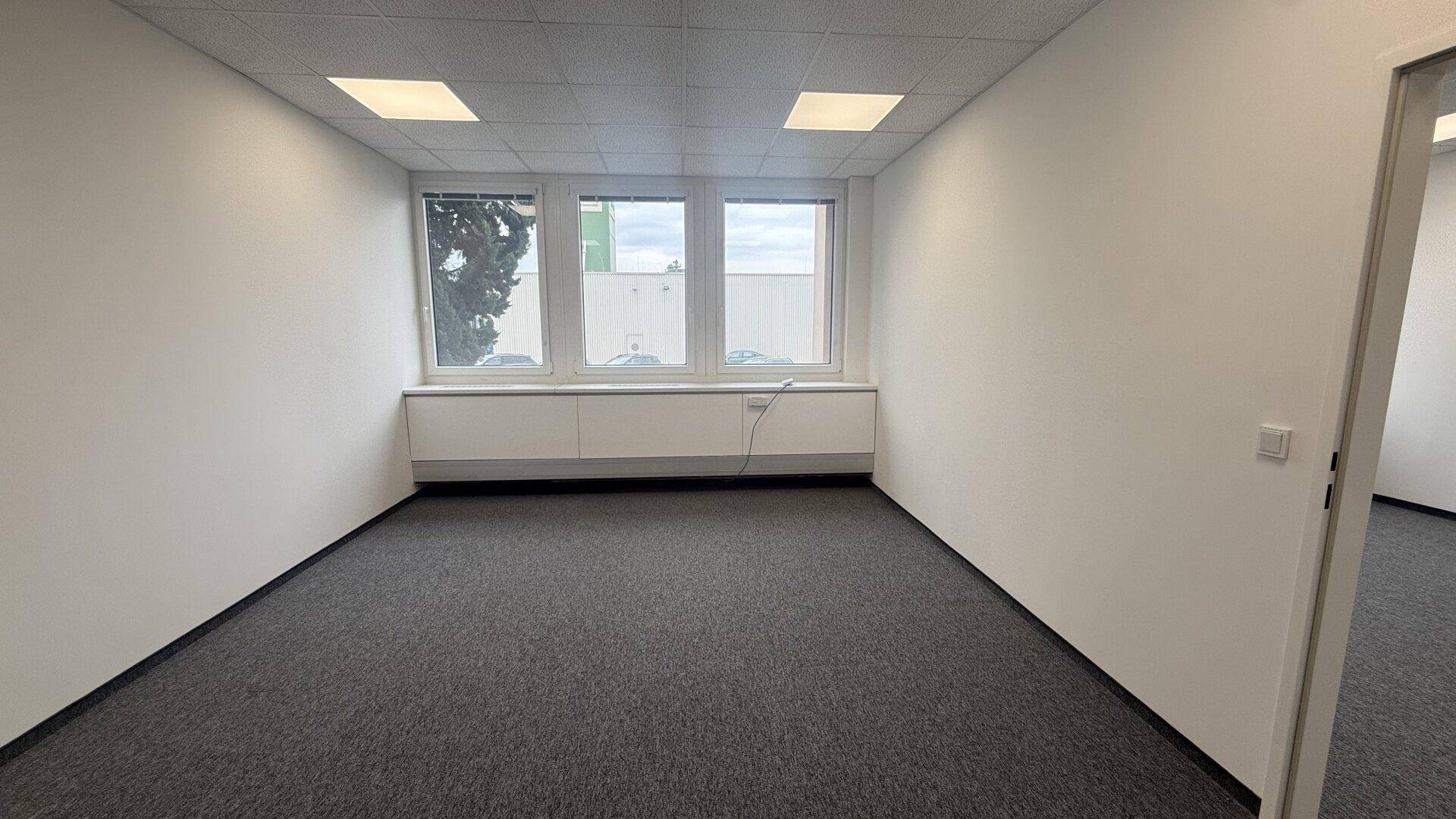 Geräumiges, leeres Büro mit Teppichboden und Fenstern, die Tageslicht hereinlassen.