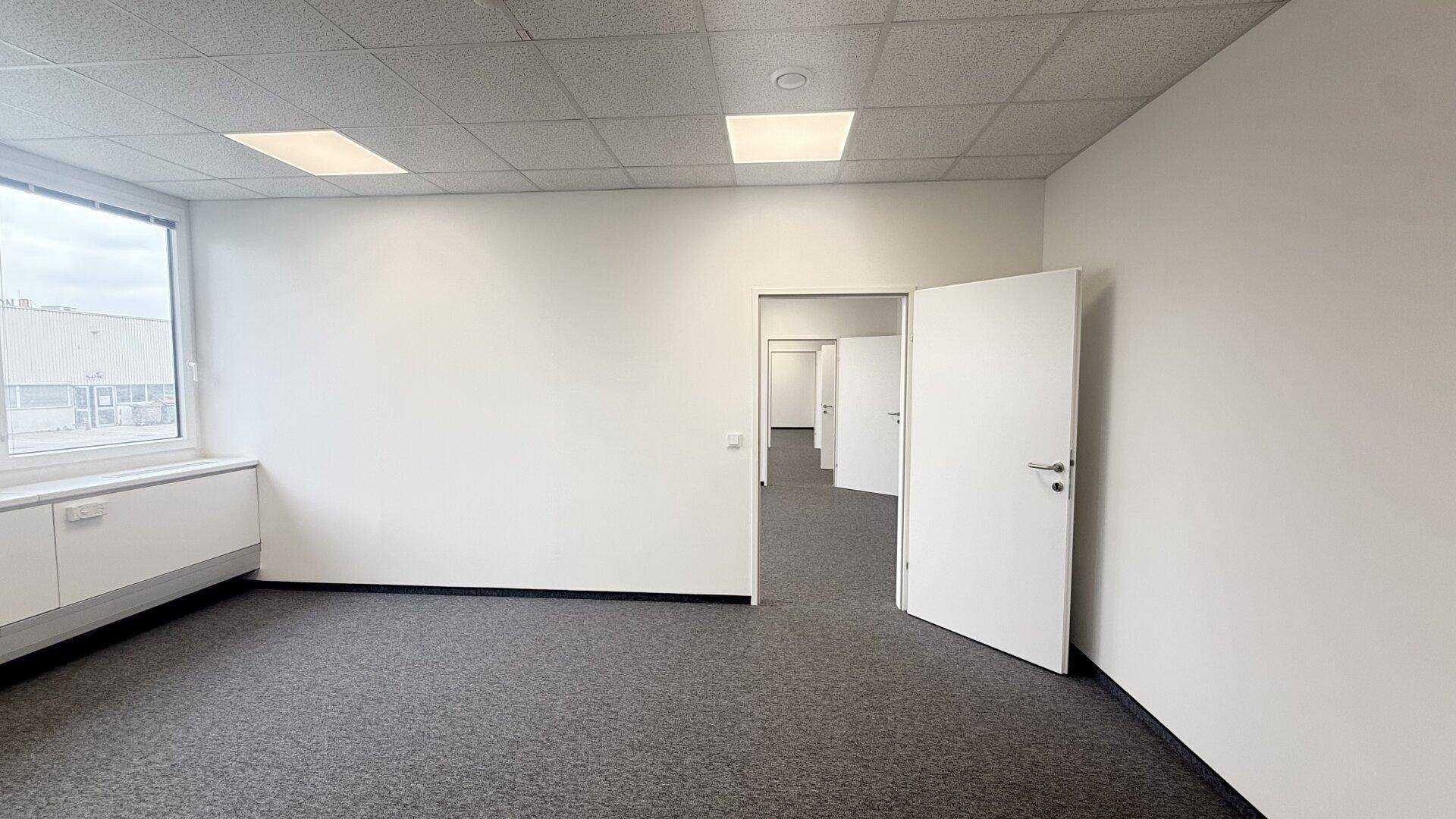 Leeres Büro mit Teppichboden und mehreren Türen, die zu weiteren Räumen führen.