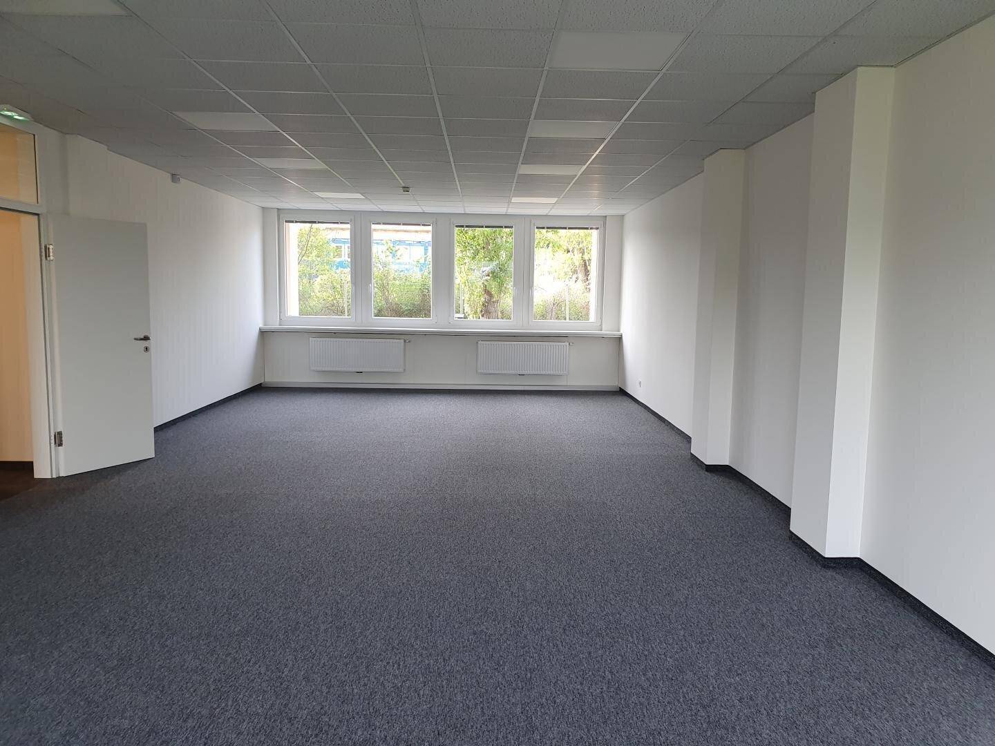 Heller, unmöblierter Büroraum mit Teppichboden und Blick auf Bäume durch die Fenster.