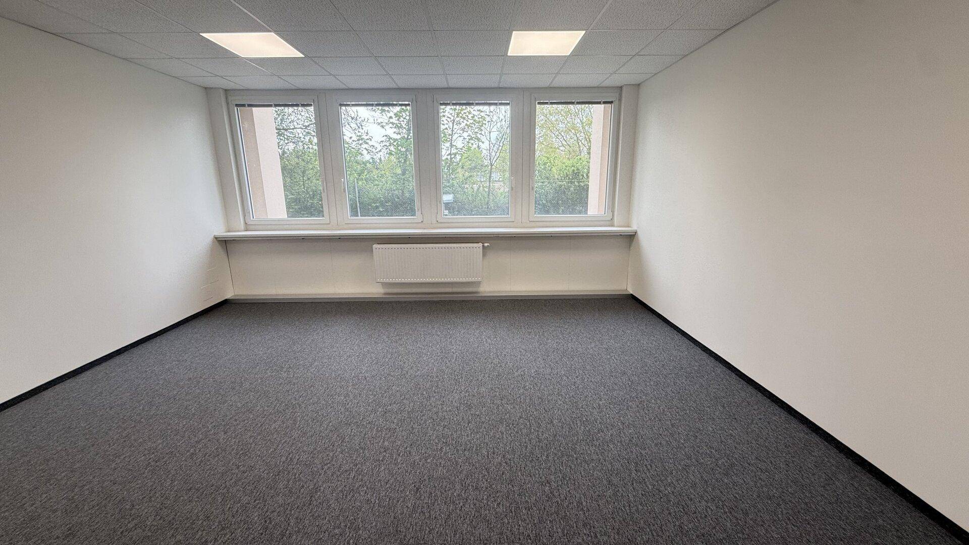 Leerer Büroraum mit Teppichboden, weißen Wänden und einer Reihe von Fenstern.