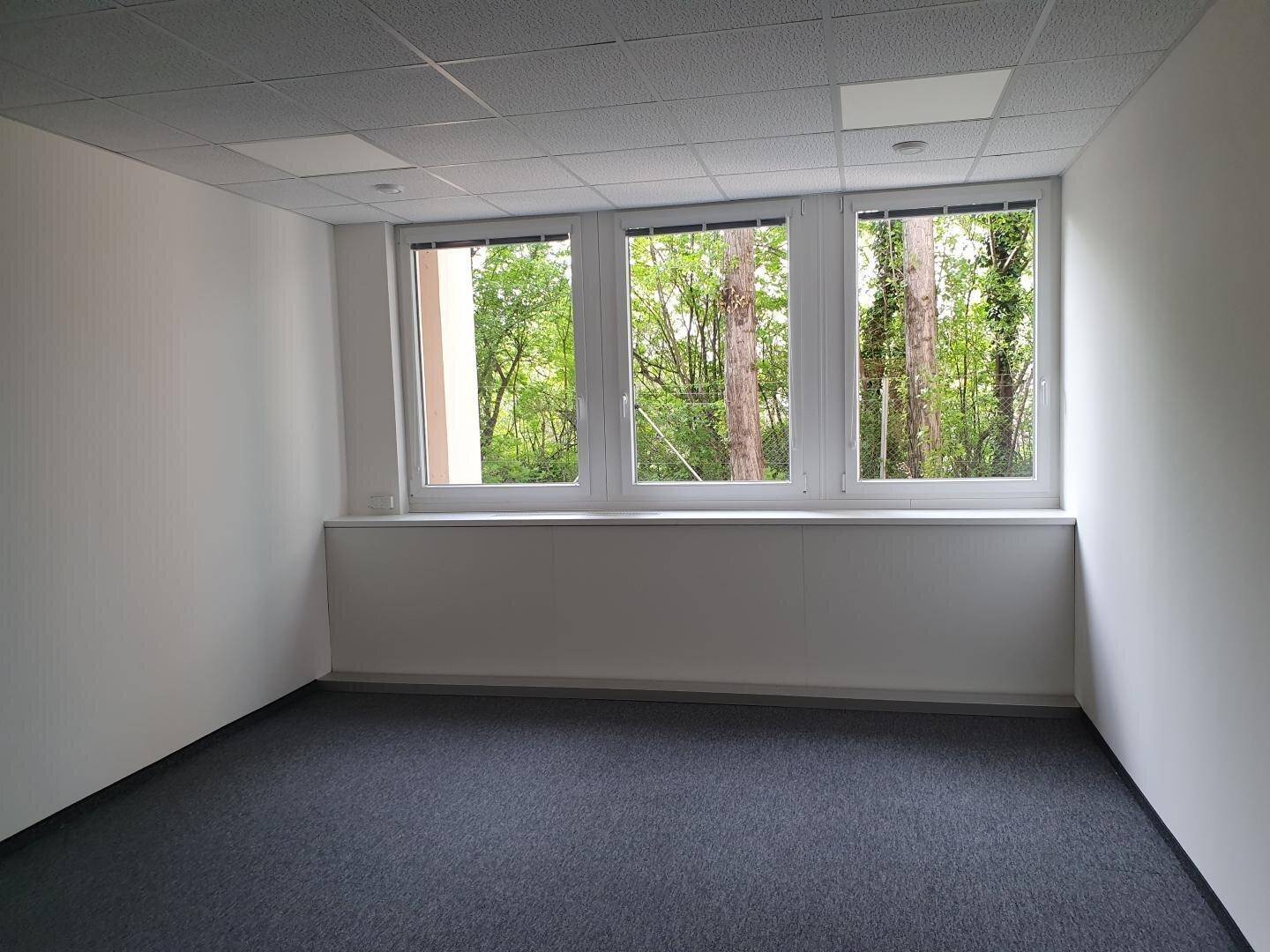 Leeres Büro mit Teppichboden und drei großen Fenstern mit Blick auf Bäume.