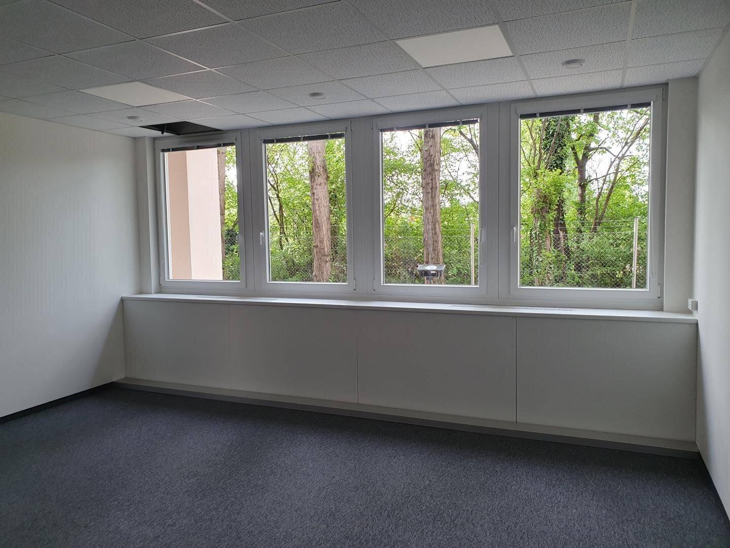 Helles, leeres Büro mit Teppichboden und vier großen Fenstern mit Blick ins Grüne.