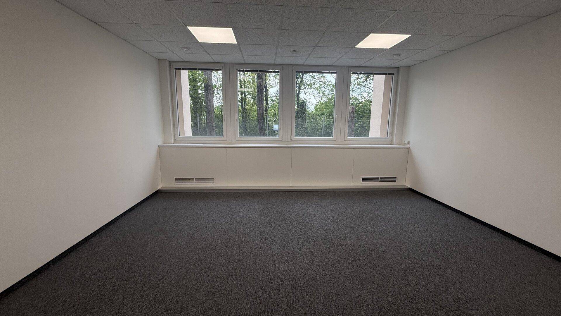 Geräumiges, leeres Büro mit Teppichboden und vier Fenstern, die viel Tageslicht hereinlassen.