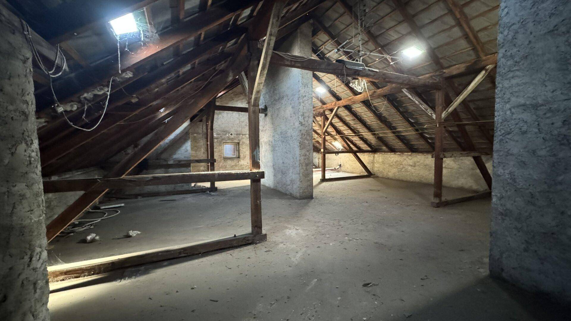 Weitläufiger Dachboden mit offener Holzkonstruktion und Tageslicht durch Dachfenster, ideal für Loftausbau.