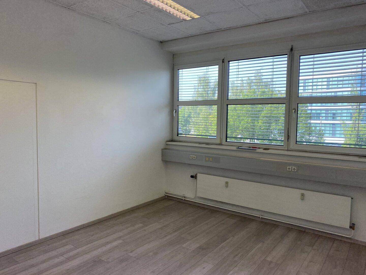 Helles, leeres Büro mit Laminatboden und großen Fenstern, die viel Tageslicht hereinlassen.
