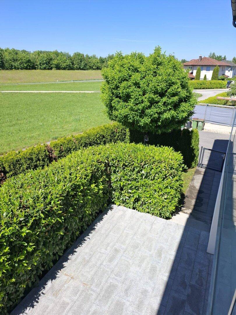 Ausblick von einem Balkon auf eine grüne Rasenfläche, Hecke und die umliegende Landschaft.