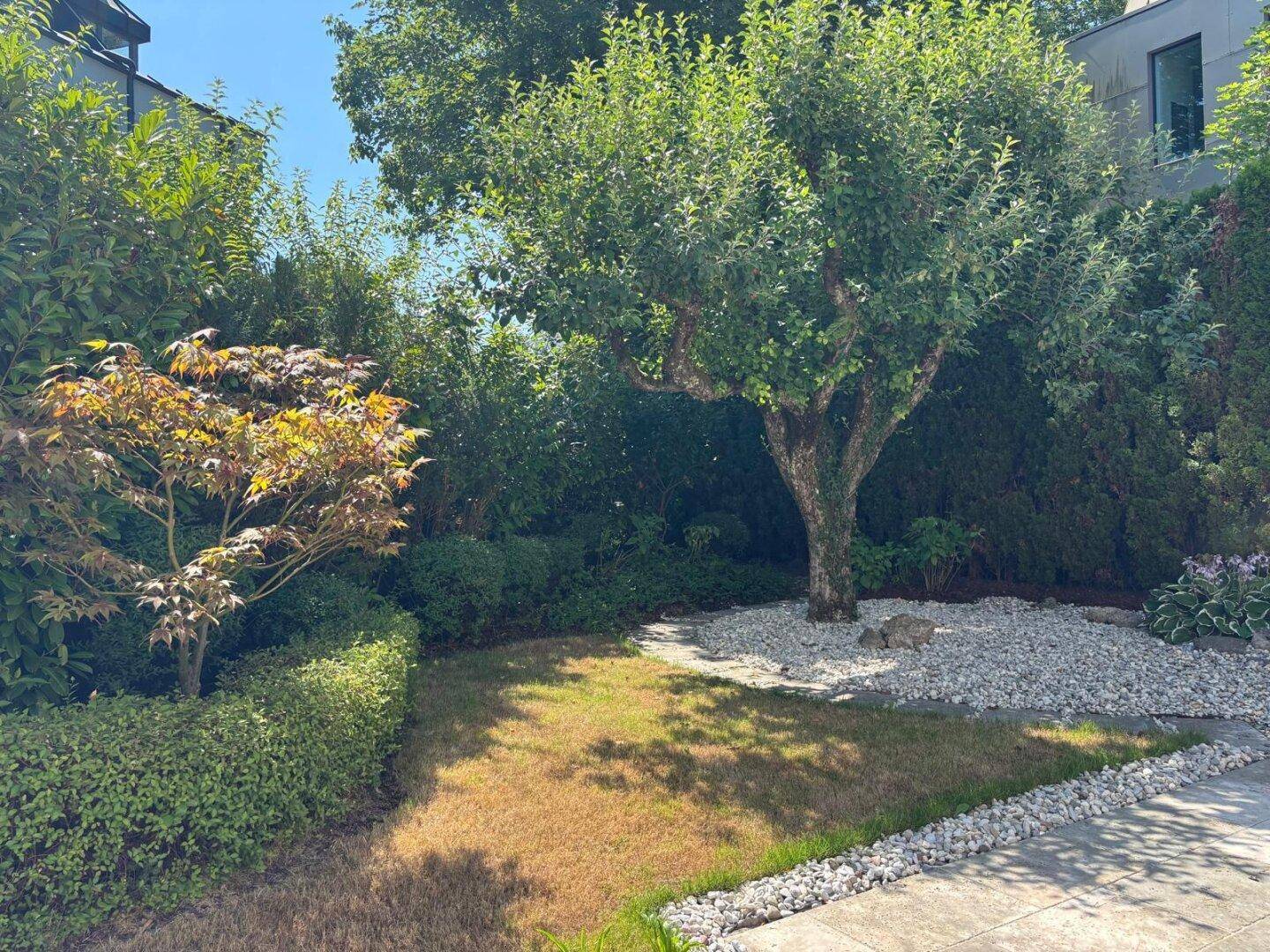 Gepflegter Gartenbereich mit Bäumen, Sträuchern und Kiesbeeten, ideal zum Entspannen.