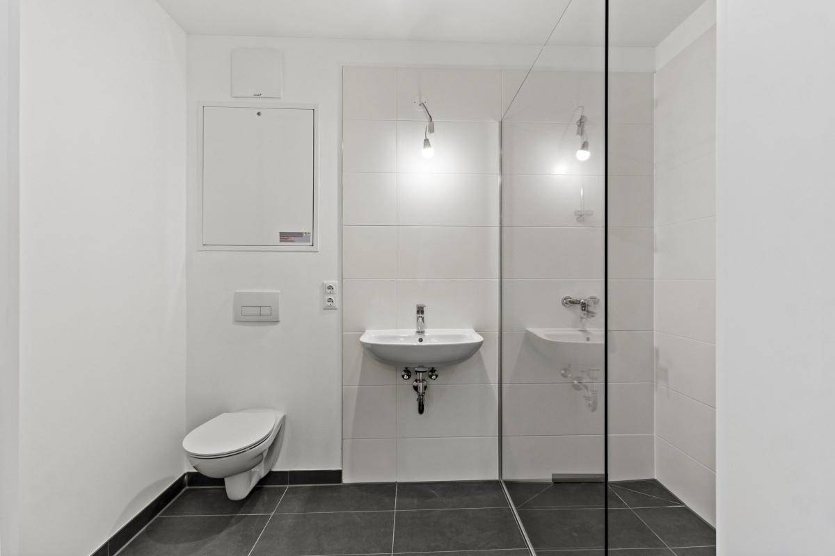 Modernes Badezimmer mit begehbarer Dusche, Wand-WC und dunklen Bodenfliesen.