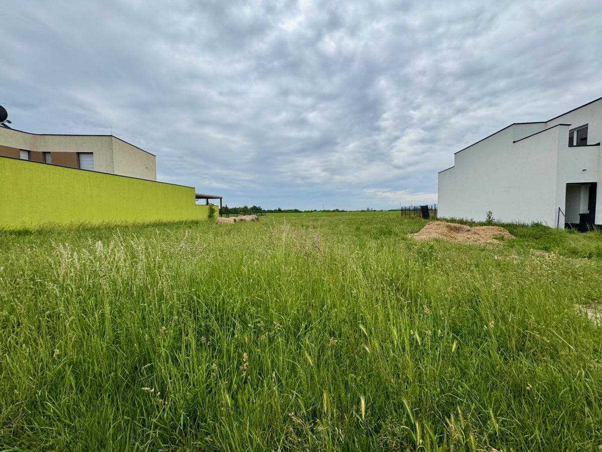 Großes unbebautes Grundstück mit üppigem Gras, flankiert von zwei modernen Häusern unter einem bewölkten Himmel.