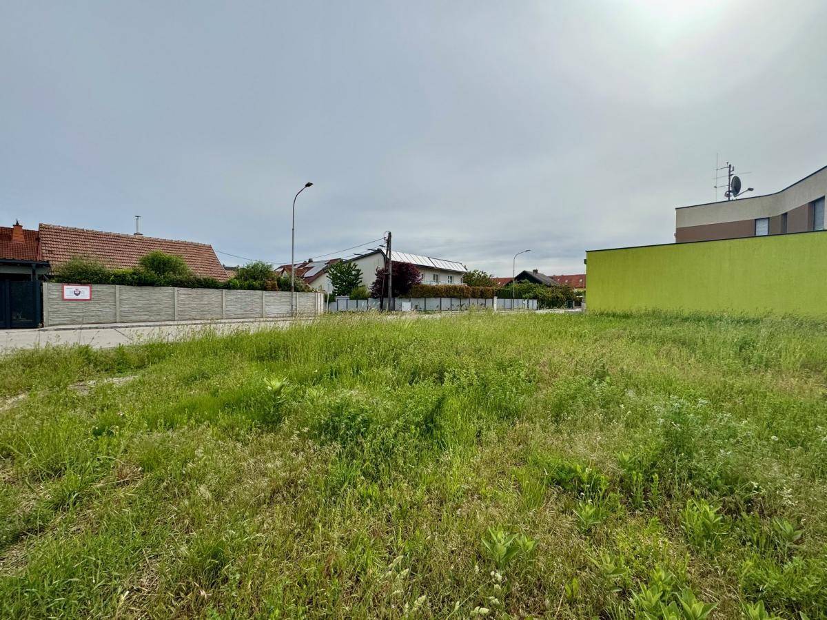 Grünes Grundstück mit hohem Gras an einer Straße, umgeben von Wohnhäusern unter bewölktem Himmel.