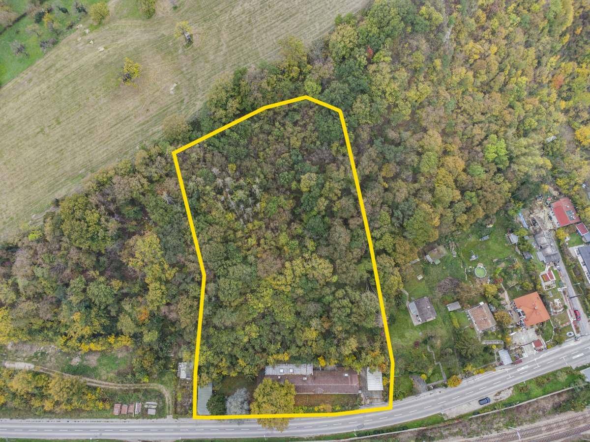 Luftaufnahme des Grundstücks mit Waldfläche und angrenzender Straße.