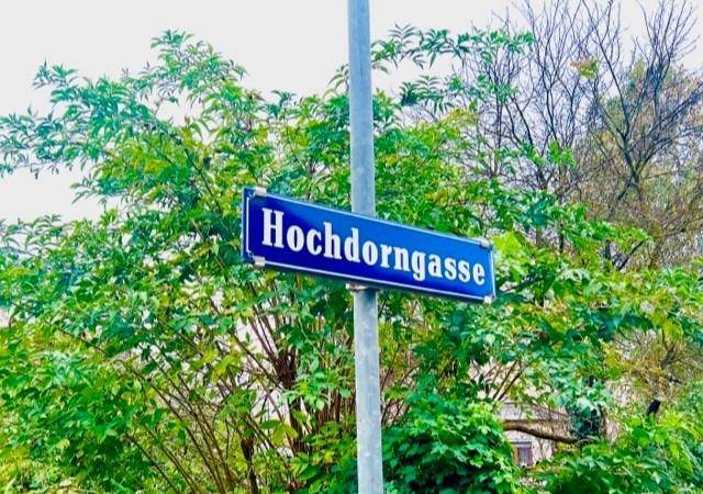 2Hochdorng.