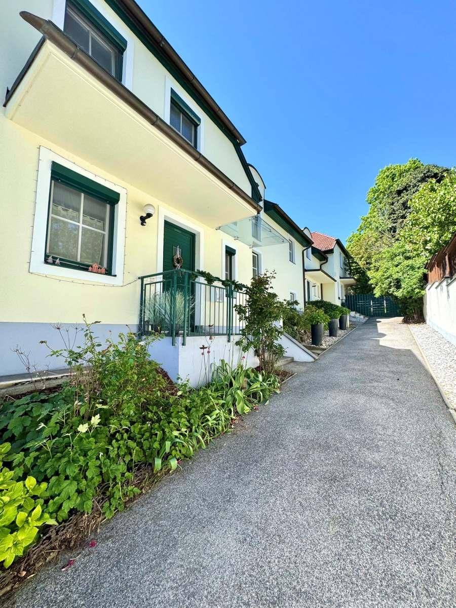 Seitenansicht des Hauses mit Zufahrt, heller Fassade und grünen Akzenten, umgeben von Bäumen.