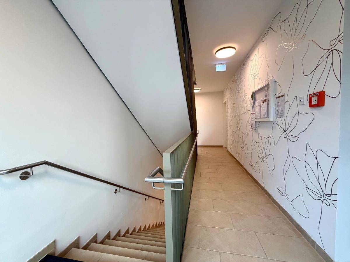Heller Flur mit Treppenhaus, Handlauf und dekorativer Wandgestaltung.