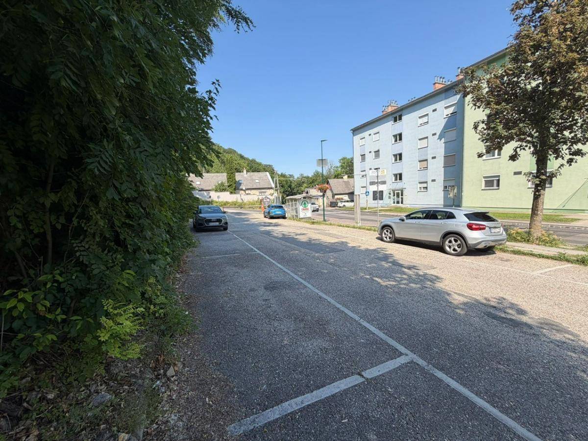 Sonnige Straße mit geparkten Autos, Wohngebäuden und bewaldetem Hügel im Hintergrund unter blauem Himmel.