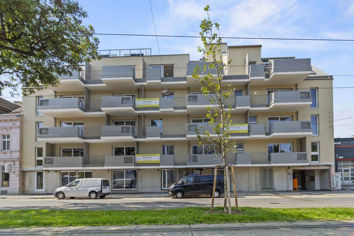 Haus1