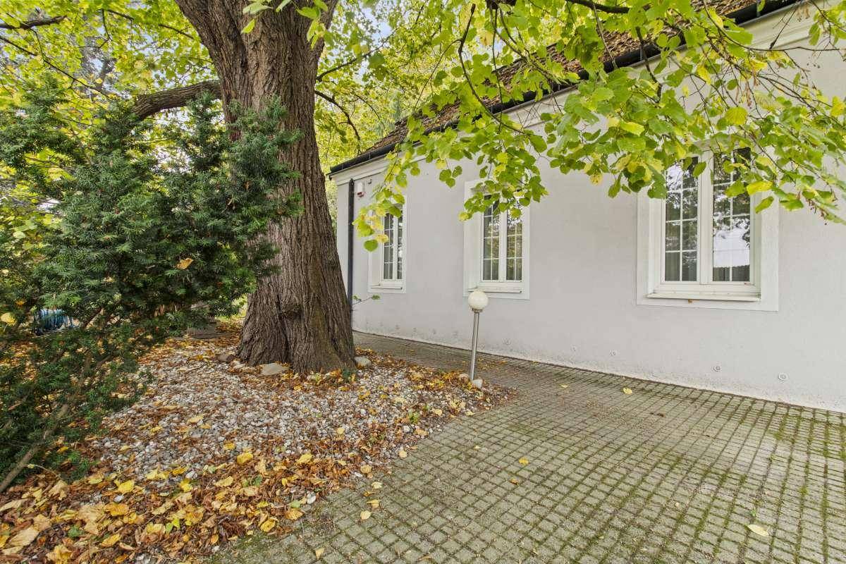 Seitenansicht des Hauses mit großen Bäumen und gepflastertem Weg.