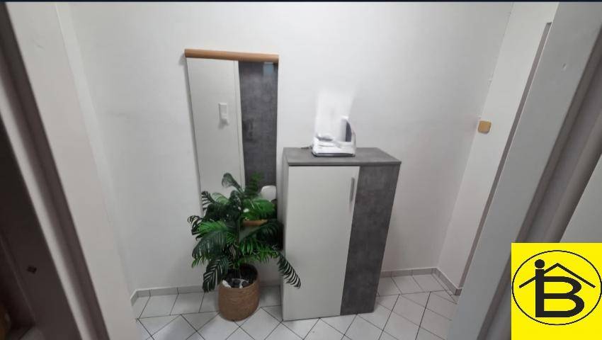 Kleiner Flurbereich mit einem hohen Spiegel, einem Schrank und einer dekorativen Pflanze.