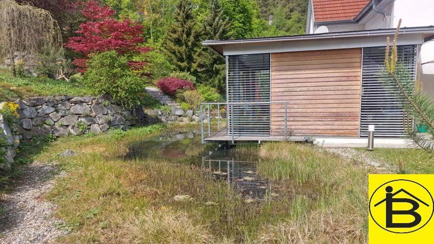 Naturnaher Gartenbereich mit Teich, üppiger Vegetation und Steintreppe.