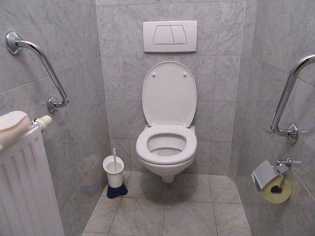 Separate Toilette mit Wand-WC, Haltegriffen und Fliesen an Wänden und Boden für Barrierefreiheit.