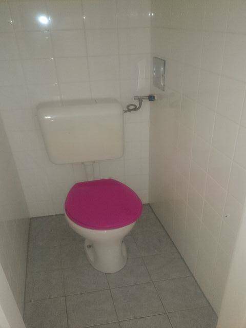 Kleines WC mit weiß gefliesten Wänden und einem auffälligen pinken Toilettensitz.