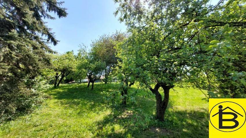 Obstgarten