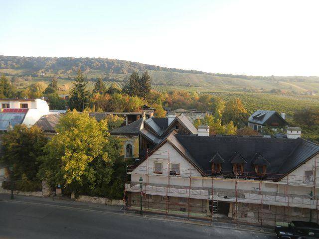 Panoramablick auf die umliegende Landschaft mit Gebäuden, Bäumen und Weinbergen.
