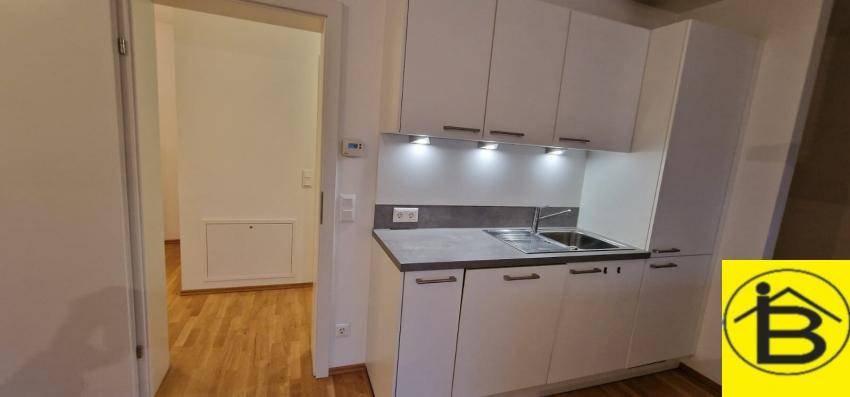 Kompakte Einbauküche mit Spüle und Oberschränken, ideal für kleine Wohnungen.