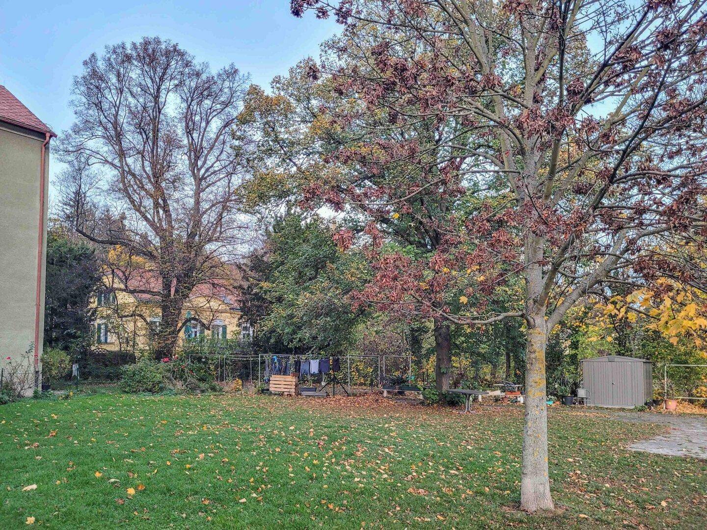 Großer Gartenbereich mit Rasen, Bäumen, einem Gartenschuppen und Wäscheleine.