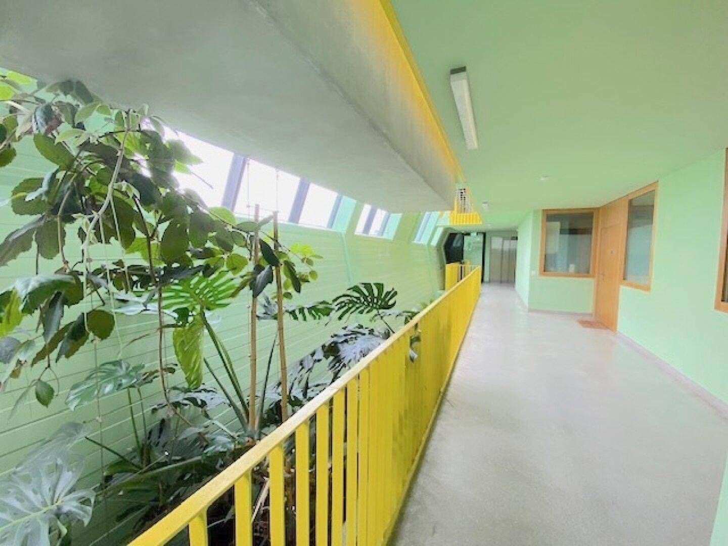Slide 8