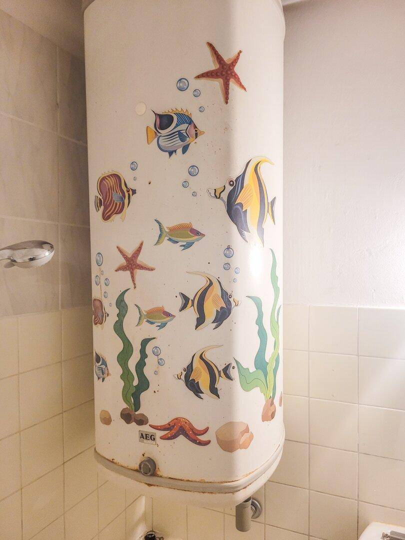 Nahaufnahme des Warmwasserboilers mit verspielten Fischmotiven im Badezimmer.