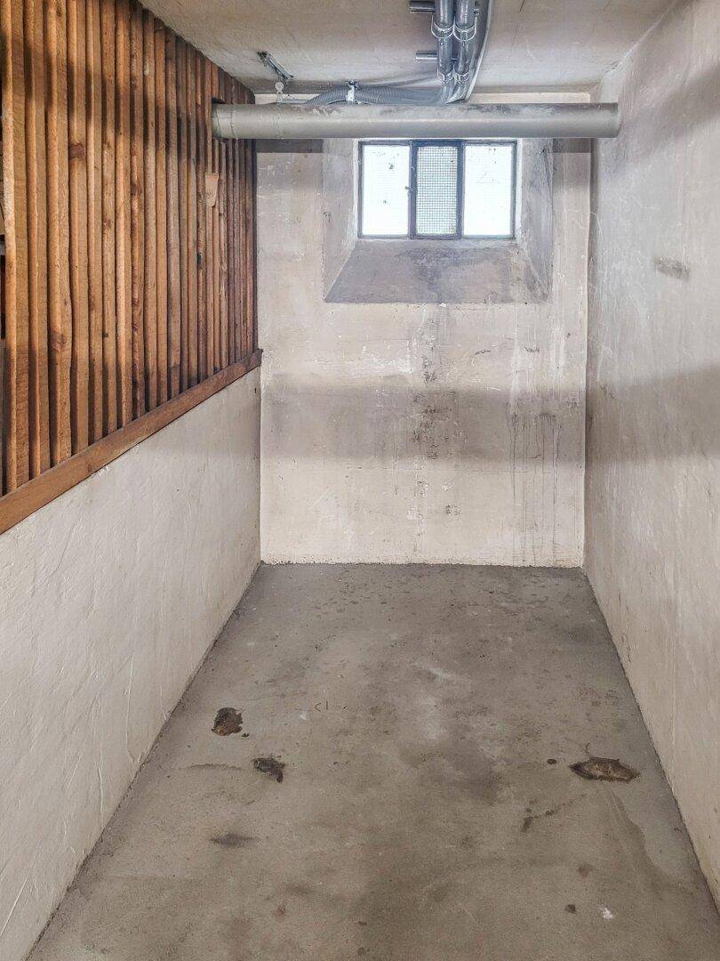 Kellerraum mit Betonboden, kleinen Fenstern und Holzverkleidung an einer Wand.