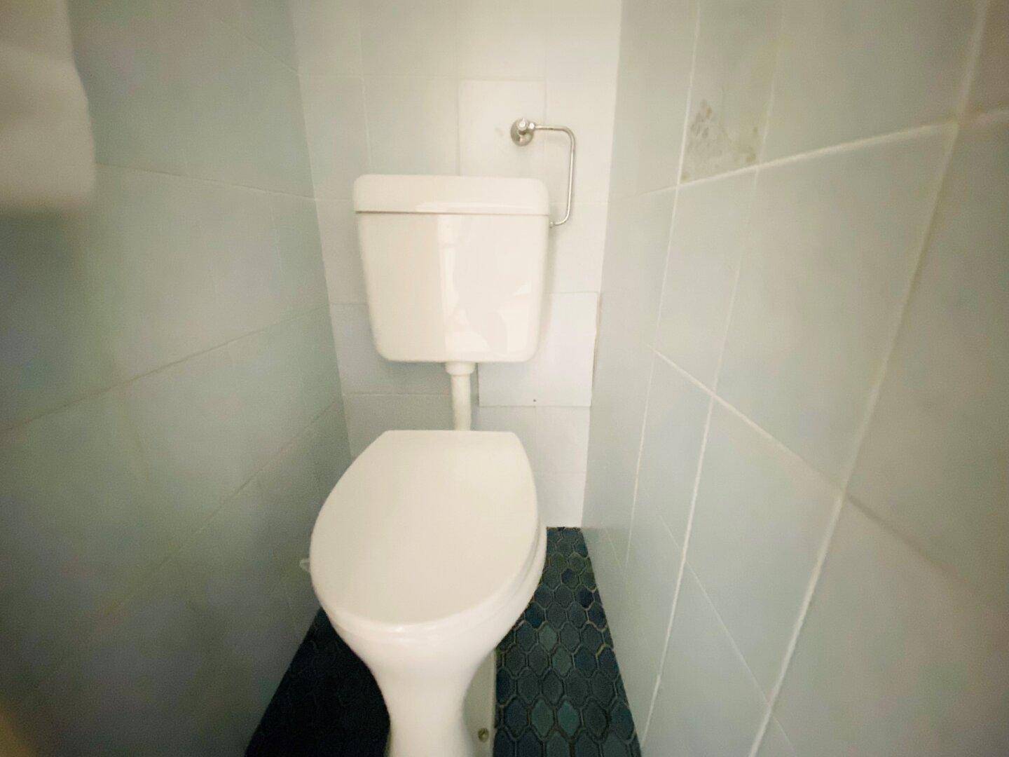 Kleines WC mit Toilette und hellblauen Fliesen an den Wänden und dunklem Boden.