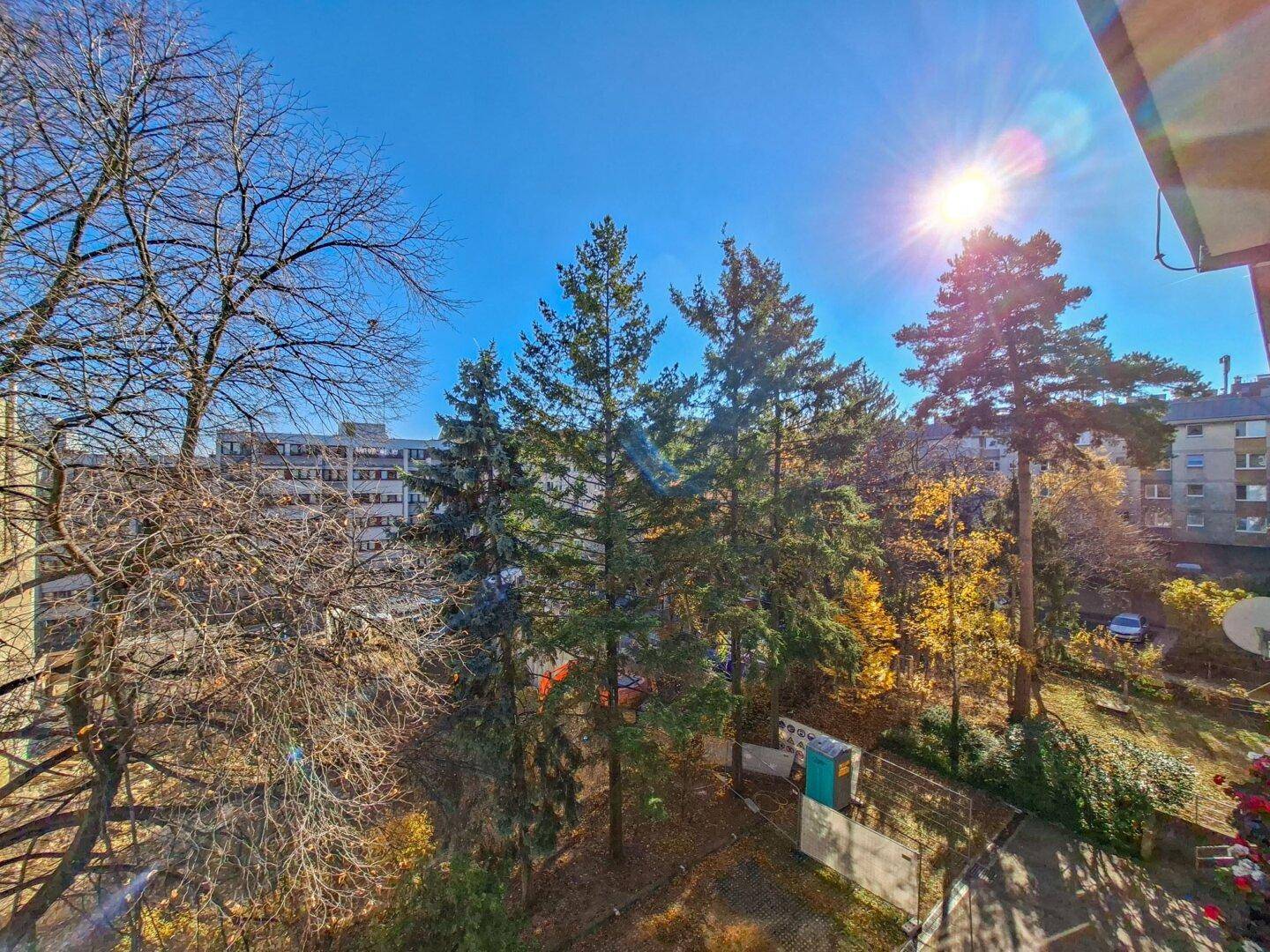 Sonniger Ausblick vom Balkon mit hohen Bäumen und städtischer Umgebung im Hintergrund.