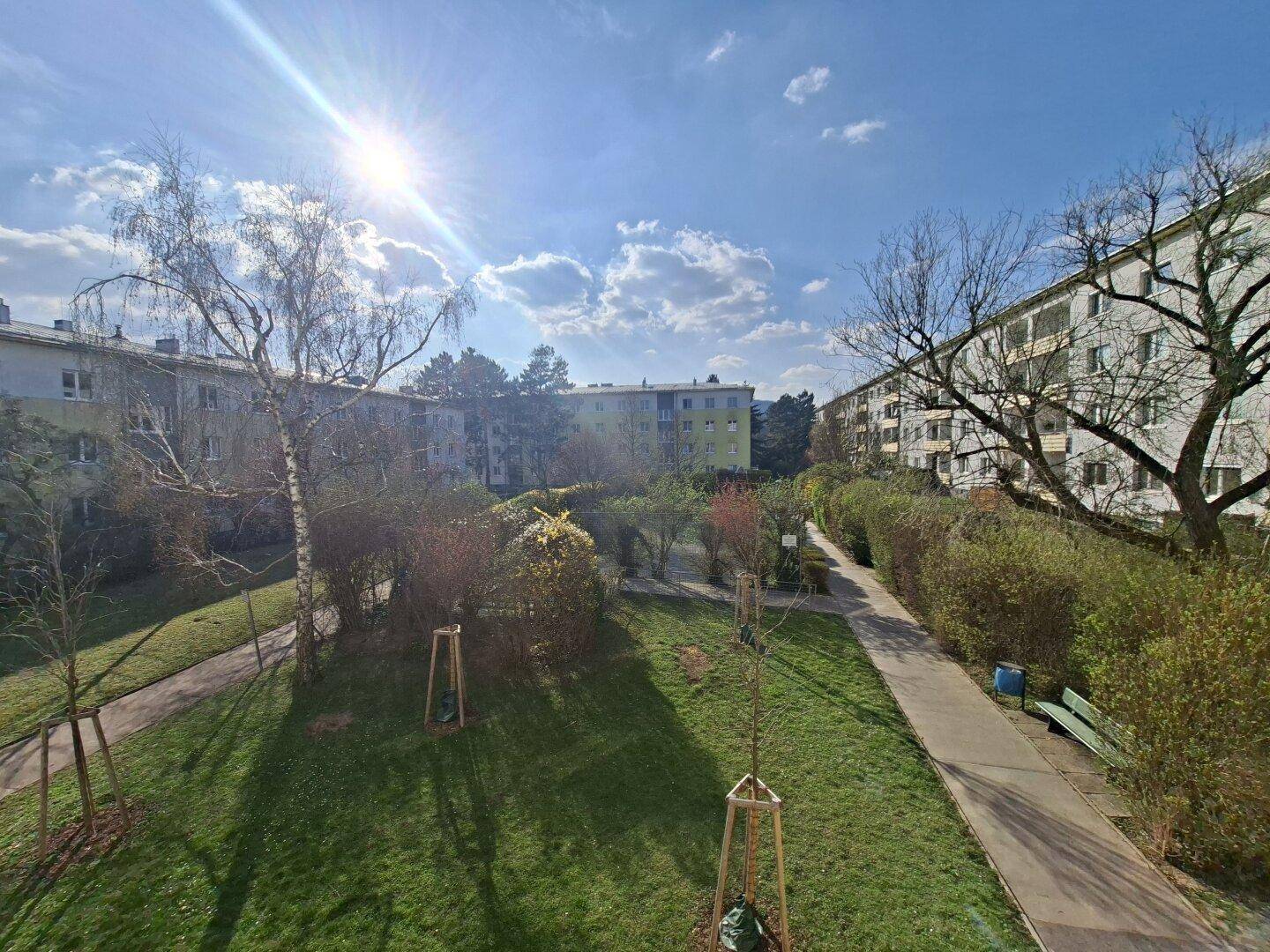 Sonniger Blick auf eine gepflegte Grünanlage mit Wegen und Bäumen zwischen Wohngebäuden.