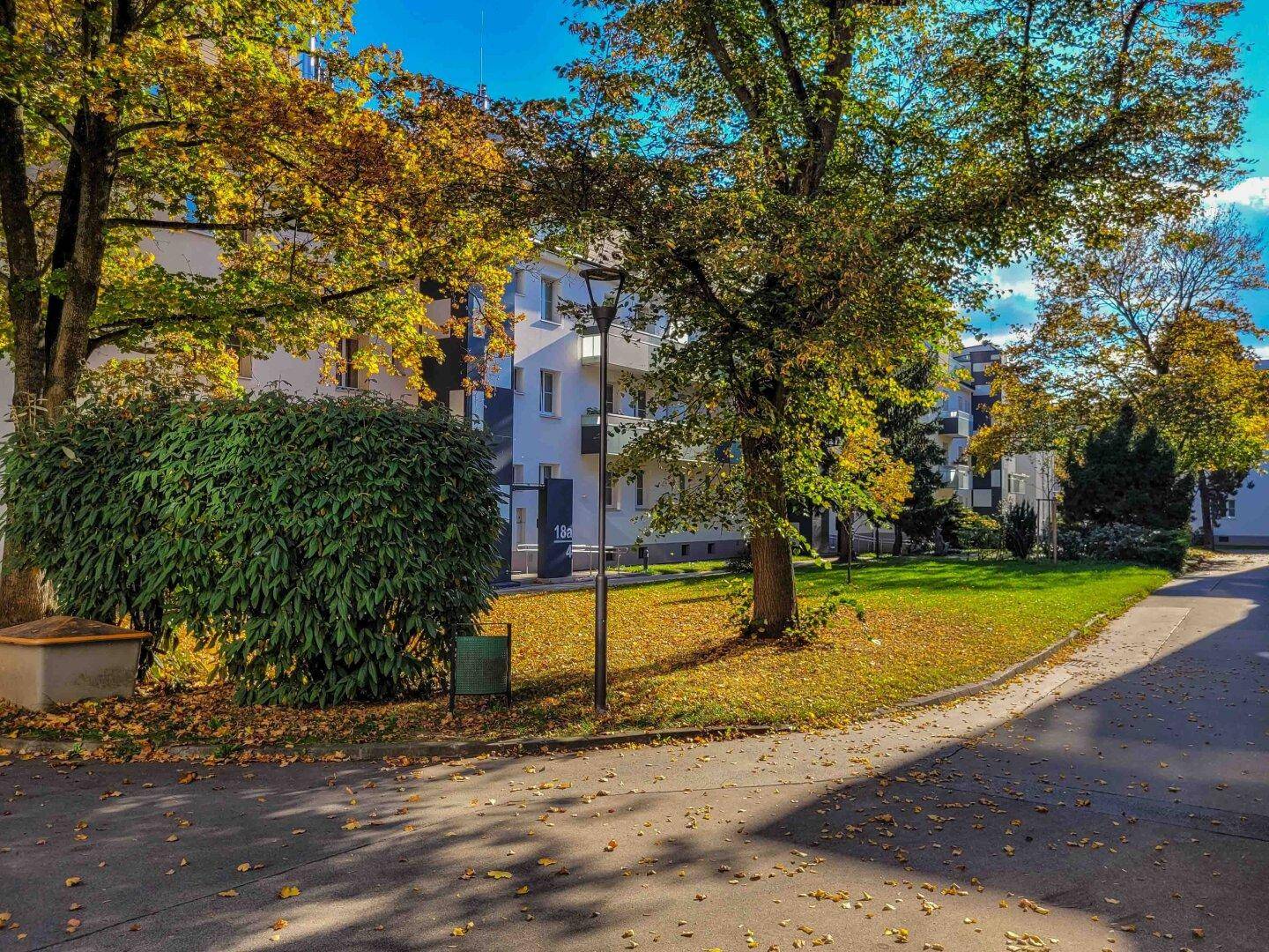 Gepflegte Grünfläche mit Bäumen und Wegen, Teil der Wohnanlage.