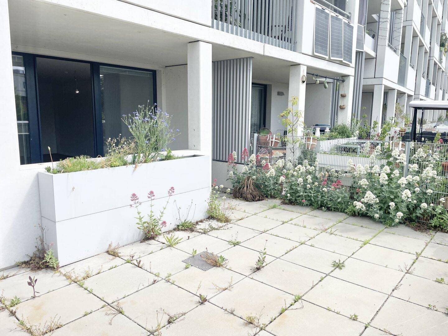 Weitläufige Terrasse mit Blumenbeeten und Blick auf die moderne Wohnanlage.