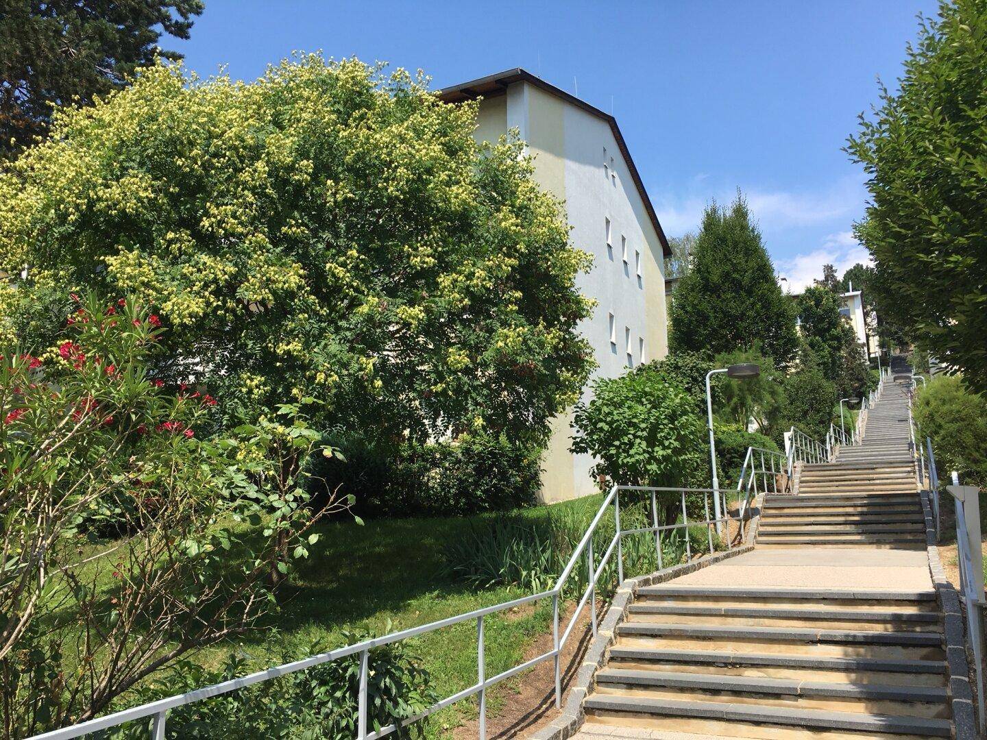 Außenansicht eines Wohngebäudes mit Treppen und üppiger Bepflanzung.