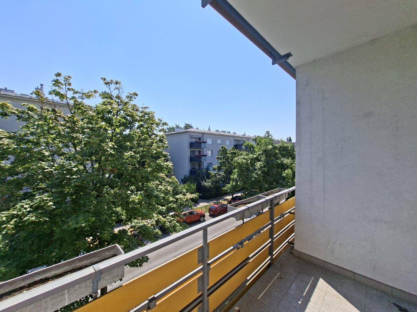 Weiterer Blick vom Balkon auf die Baumallee und umliegende Gebäude.